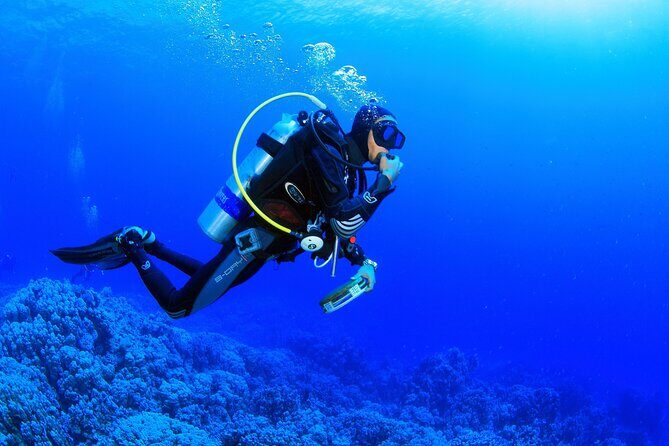 Kusadasi Scuba Diving Tour By Local Experts - Lunch on the Boat: The Real Midday Reset