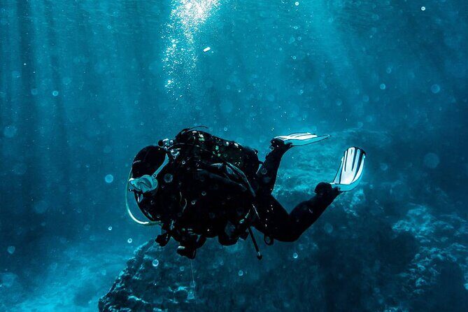 Kusadasi Scuba Diving Tour By Local Experts - Who Should Book This Kuşadası Scuba Experience