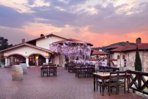 Kusadasi Shore Excursions Ephesus and Wine Tasting Tours - The port-day reality: private up to 10, but still organized