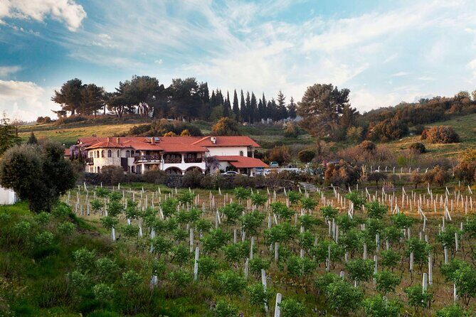 Kusadasi Shore Excursions Ephesus and Wine Tasting Tours - Stop 2: Selçuk lunch and a handicrafts cooperative stop (no hard sell needed)