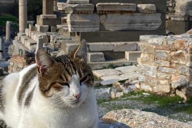 LESS Walking Tour : Private Ephesus, House of Virgin Mary, Temple - Getting on the Van: Kusadası Port Pickup That Minimizes Stress