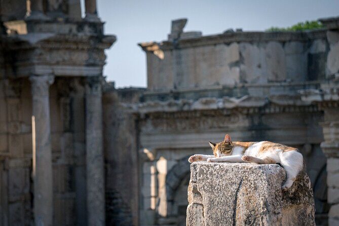 NEW: Private The Most Detailed Ephesus Shore Excursion / with Lunch - Price and what you’re really paying for