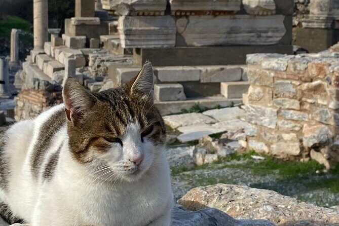 NO HIDDEN FEES : Ephesus, Virgin Mary's House, St. John Basilica - The House of the Virgin Mary: quieter, simpler, and a world away from ruins