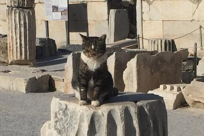 NO HIDDEN FEES Private Ephesus with skip the line tickets - The Celsus Library and Grand Theater effect: why these stops feel special