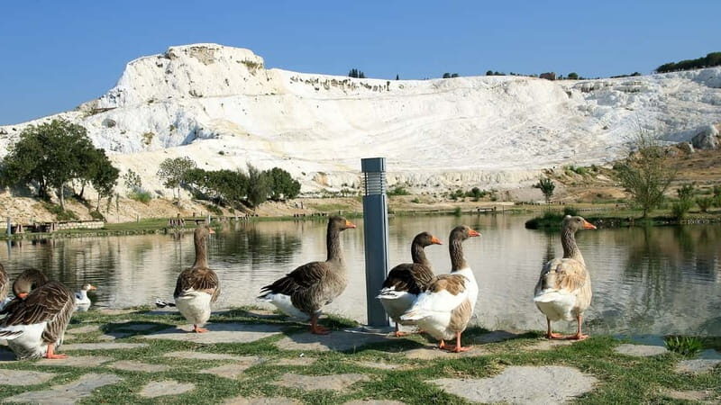 Pamukkale and Hierapolis: Full-Day Private or Group Tour - Value at About $102: Is This a Smart Spend?