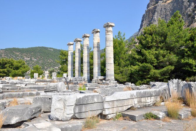 Priene Miletos Didyma (PMD) Tour From Kusadasi Port / Hotels - The Guide Makes It Click (And You’ll Likely Get Yasarah)