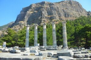 Priene, Miletus, and Didyma Day Tour from Kusadasi - Didyma’s Temple of Apollo: the oracle made stone