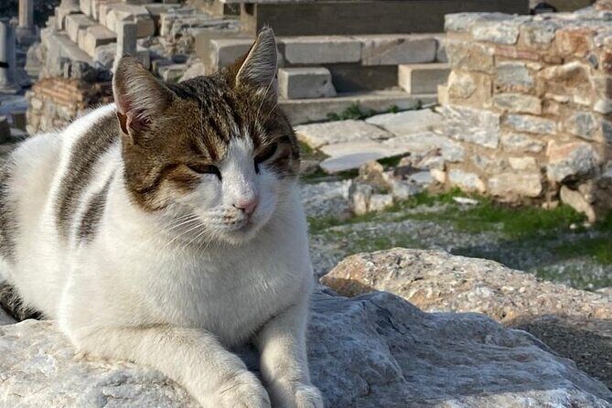 Private Ephesus and Artemis Temple Half Day Tour / On Time Return - Price and what you’re really paying for ($129 per person)