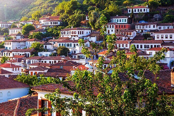 Private Ephesus and Sirince Village Tour from Kusadasi Port/Lunch - Kusadasi Port to Ephesus: the smooth part of the day