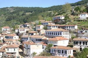 Private Ephesus, Terrace Houses & Sirince Village Tour - The Terrace Houses stop that most tours skip