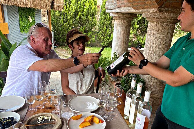 Private Ephesus Tour & Wine Tasting & Mediterrranean Lunch - Price and what you’ll pay on top of the $169