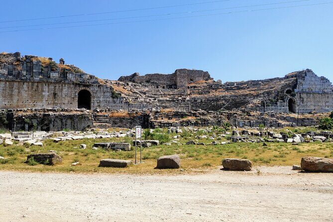 Private Full-Day Ephesus Tour with Miletus and Didyma for Cruise Guests - Quick Reasons To Choose This Ephesus, Miletus, Didyma Cruise Tour