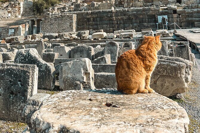 Private Half Day Ephesus Shore Excursion from Kusadasi - Getting from Kusadasi Port to Ephesus Without the Shuffle