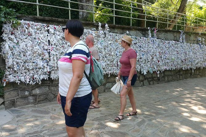 Private Shore Excursion: Ephesus,Temple of Artemis,St. Mary House - Price and Value of $224: What You Get for a Full Day