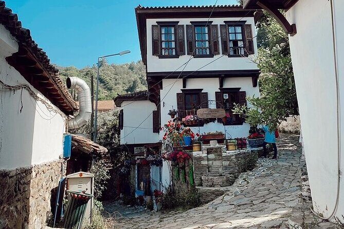 Private Tour of Ephesus, Artemis Temple and Sirince Village - A private Ephesus day from Kusadasi: efficient, flexible, and very doable