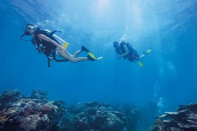 Scuba Diving Tour From Kusadasi / Selcuk - Price and What You Actually Get for $91.45