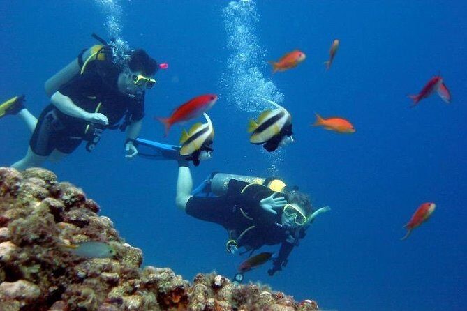Scuba Diving Tour From Kusadasi / Selcuk - Timing, Timing, Timing: why the schedule matters here