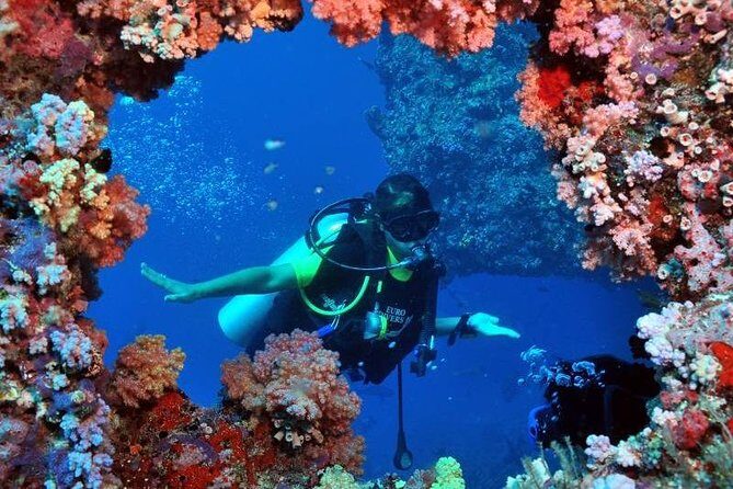 Scuba Diving Tour From Kusadasi / Selcuk - A Realistic View of the Underwater Experience
