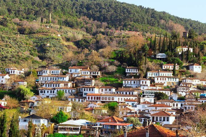 Small Group Ephesus & Sirince Village Tour From Kusadasi / Selcuk Hotels - Curetes Street and Temple of Hadrian: architecture with a built-in explanation